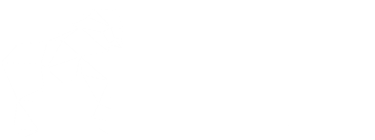 Cyber Detect - Gorille - Logo